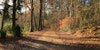 Roving Reporter: Spin Your Path at John C. Campbell Folk School Image