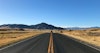 Roving Reporter and New Spin Off Adventures Image