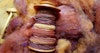 Cloud Prep? Peek Into the Carding Mill Image