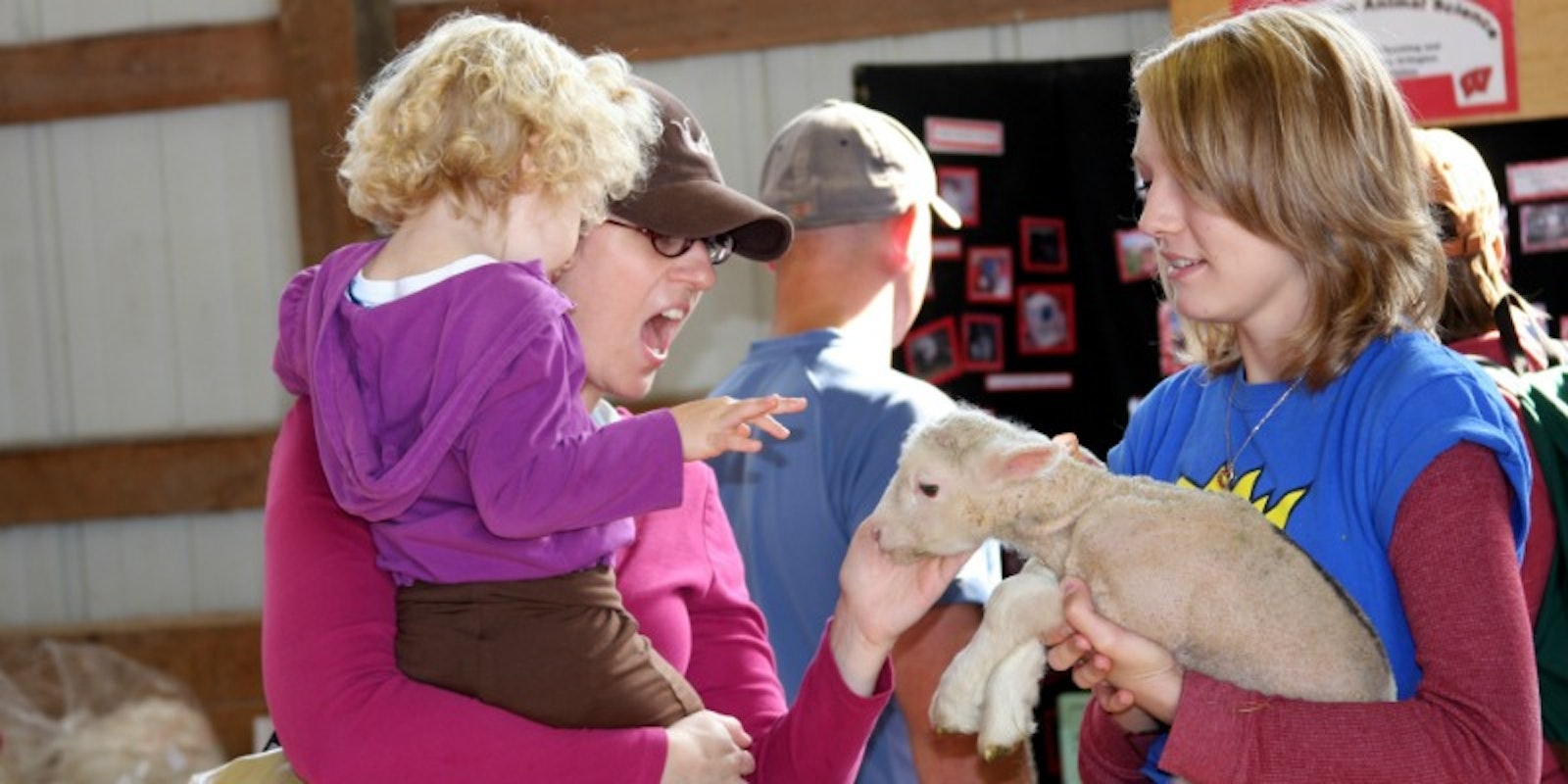 Wisconsin Sheep and Wool Festival Spin Off