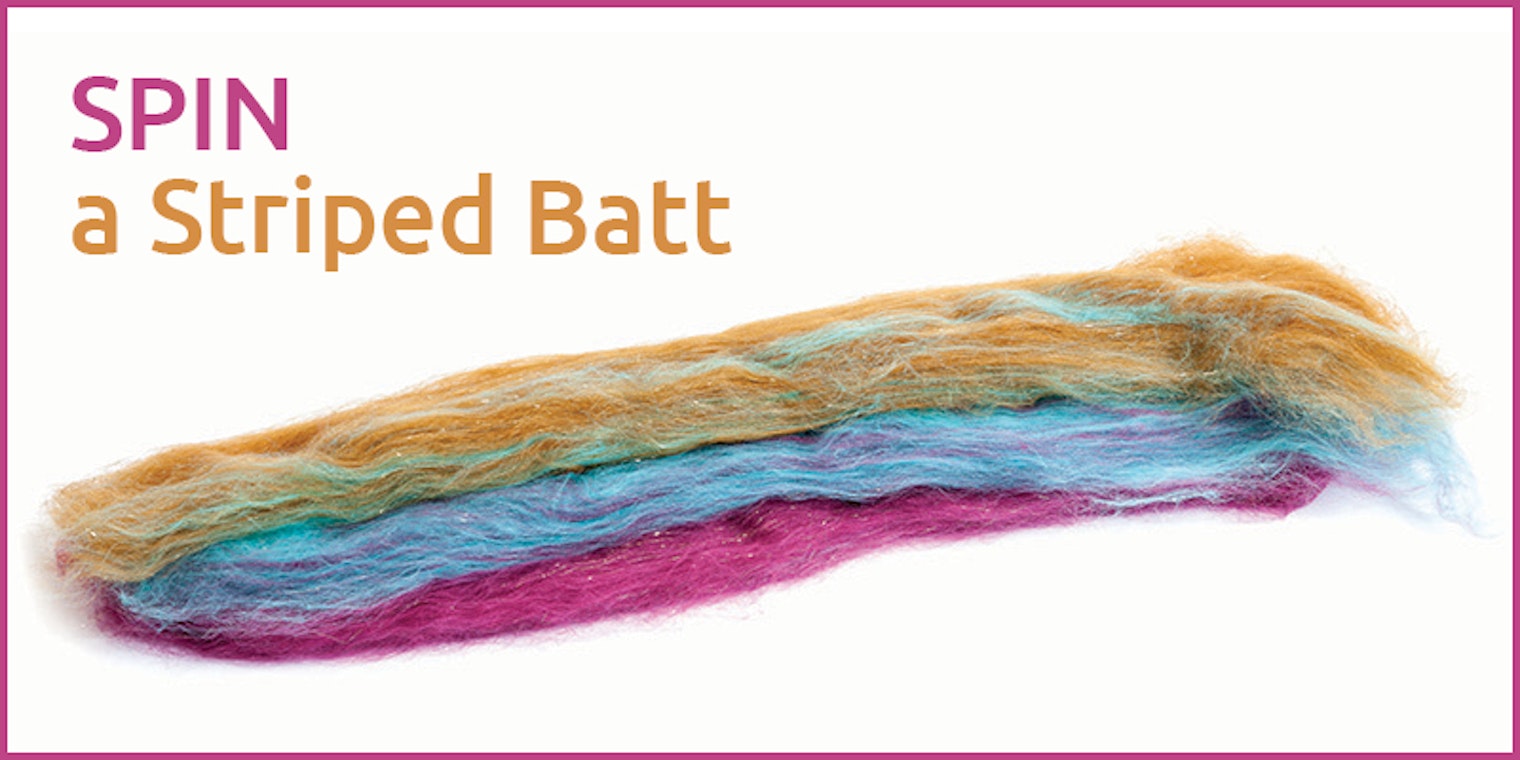 Anne_Spinastripedbatt800x400