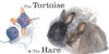 How to Spin Faster: 3 Ways to Up Your Handspun Yarn Output (and Why You Shouldn’t) Image
