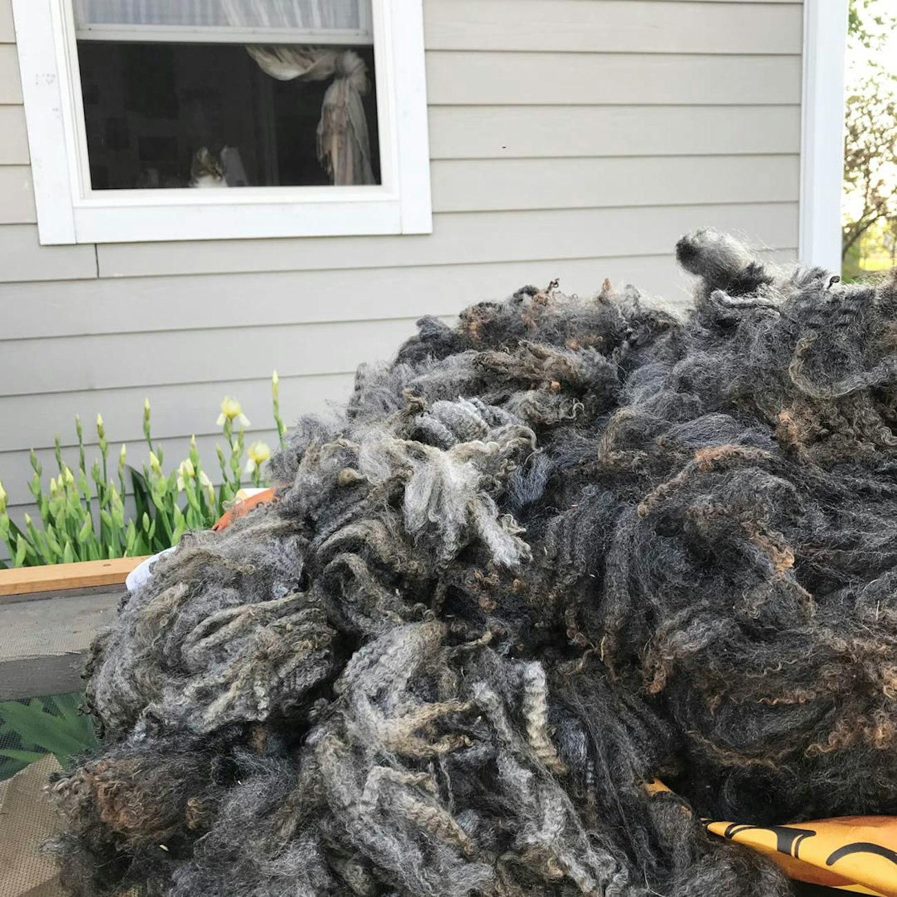 Fleece-and-Frey-1