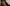 Spin Off Winter 2020: Into the Wild Primary Image