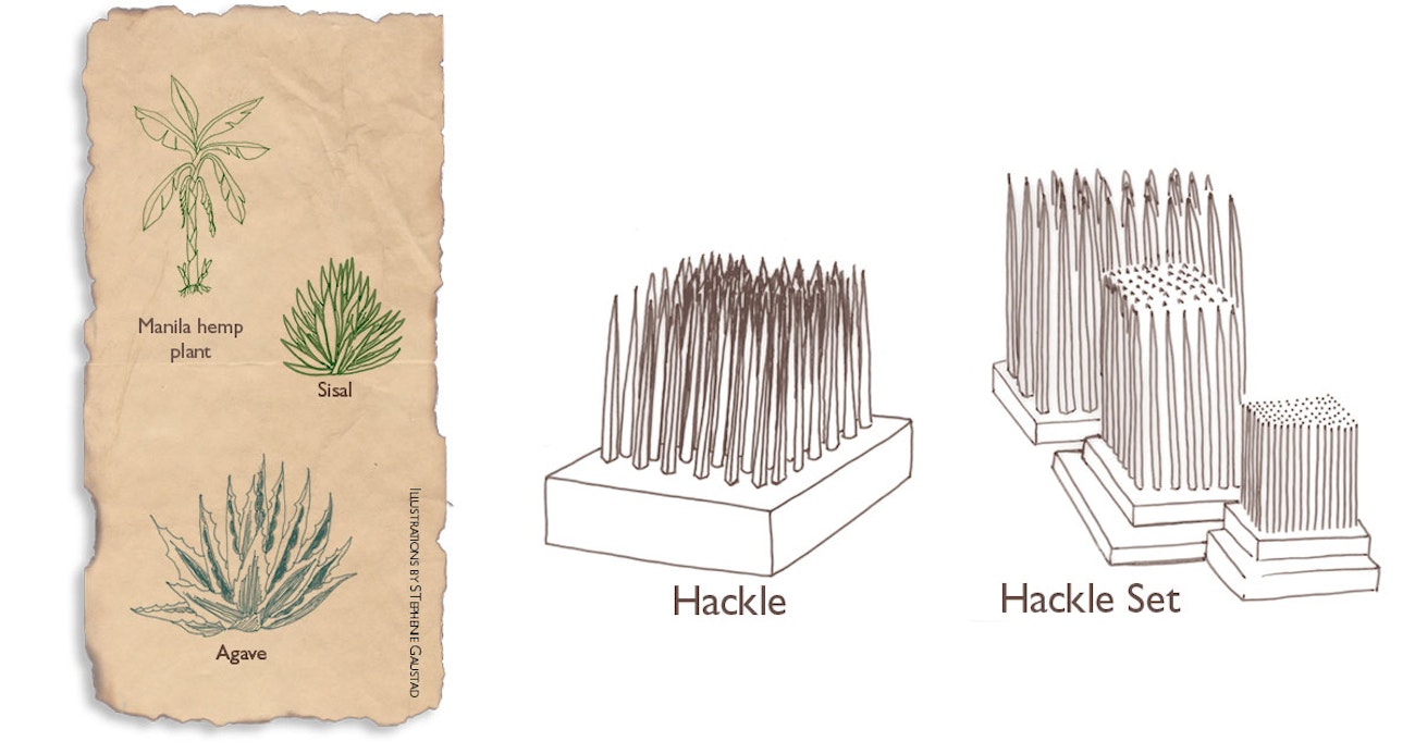 staight-talk-on-hemp-3