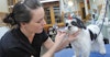 I Am a Spinner: Erin Dillard, Pet Stylist Image