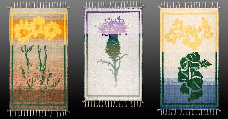 Wildflower_Header