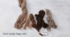 Join Us for the Spin Off Hapalong! Image