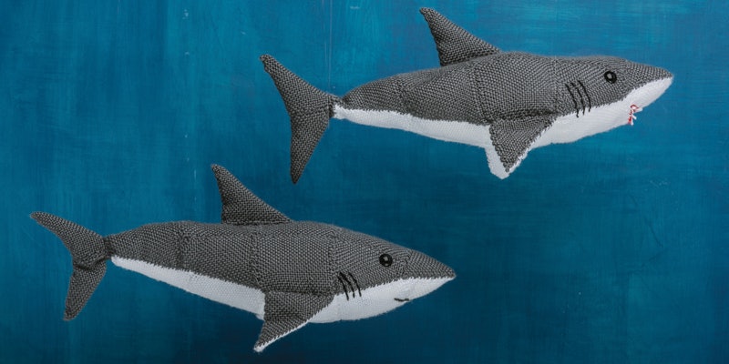 Shark by Deborah Bagley HW_Shark_Week_800x400