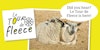 Tour de Fleece: Three Tips at the Starting Line Image