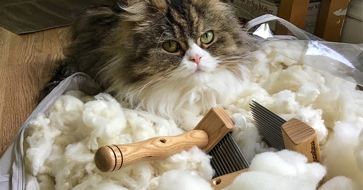 Header-Cat-and-Combs