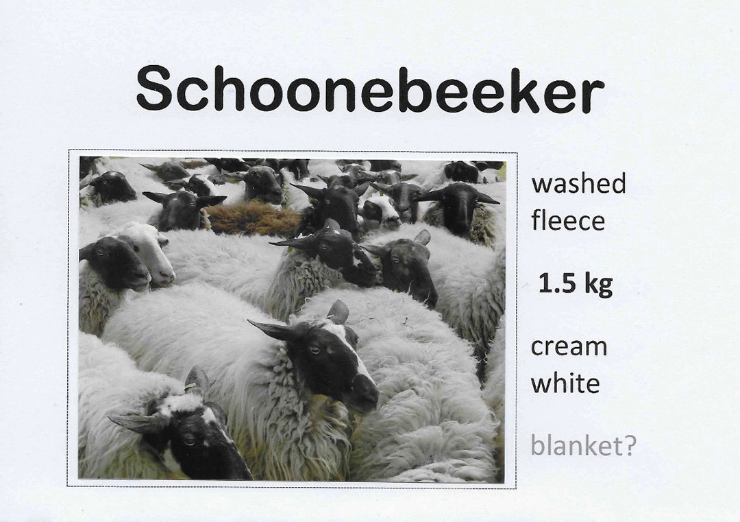 Label-Schoonebeker
