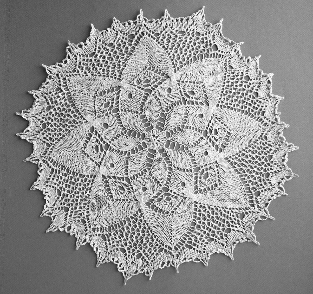 Clematis-Lace-4