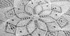 Clematis Lace Image
