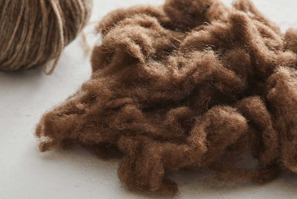Bison Fiber American Bison: Modern Fiber from a Native Species | Spin Off