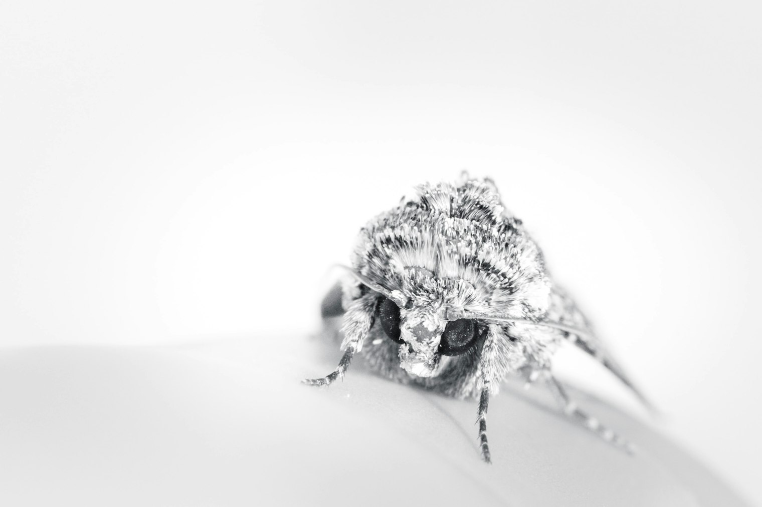 photoholgic-s24SbSjJPDU-unsplash