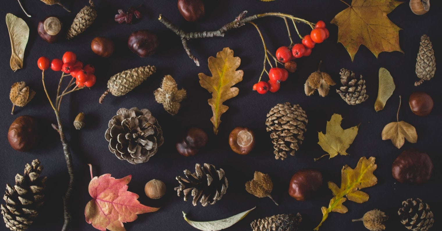 Fall Black Background