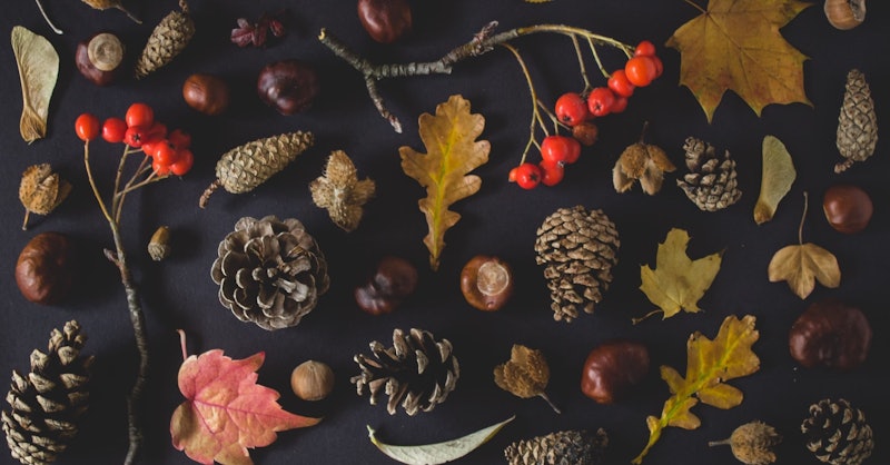 Fall Black Background