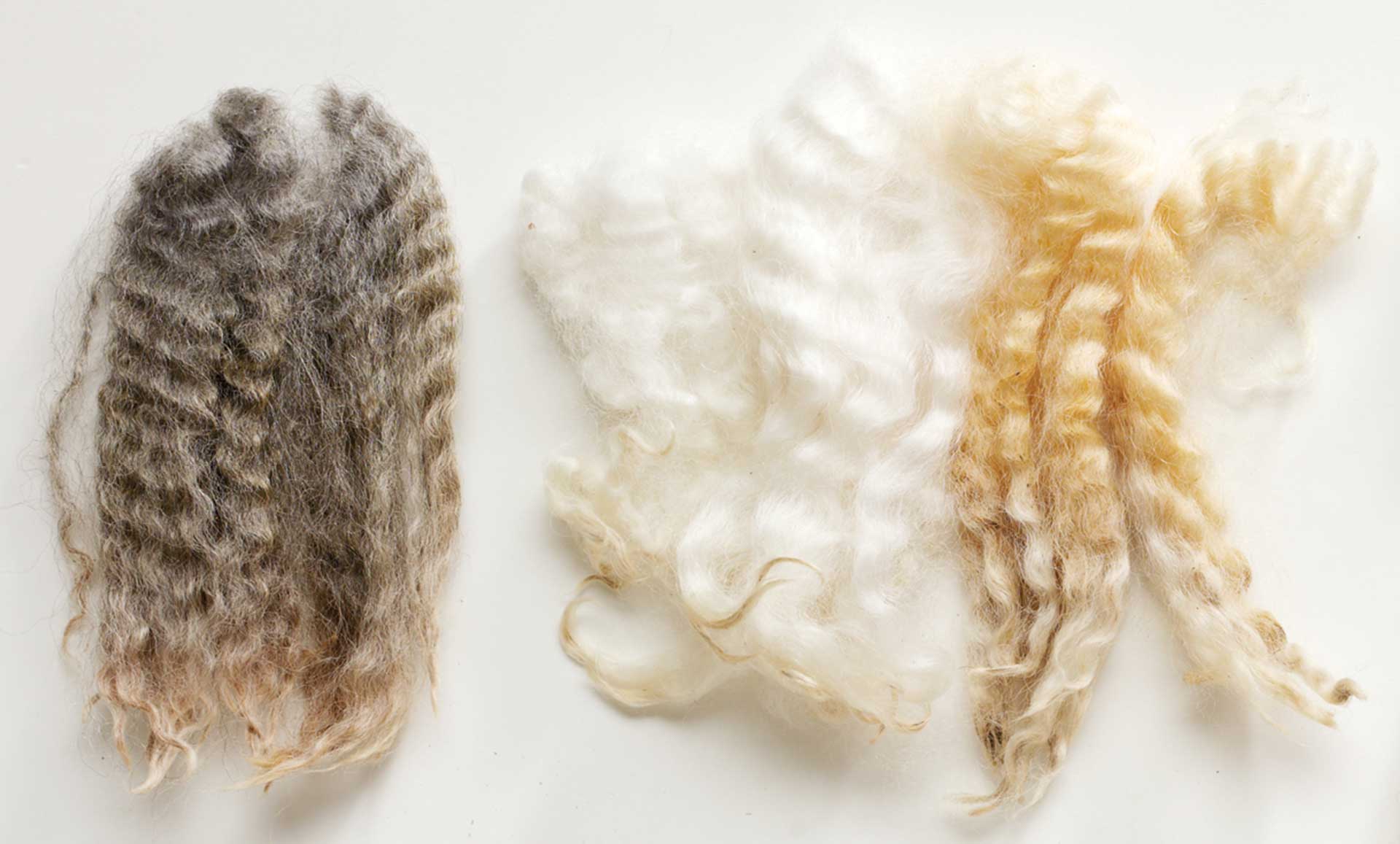 Choosing Fiber—Where to Start? | Spin Off Choosing Fiber—Where to Start? | Spin Off