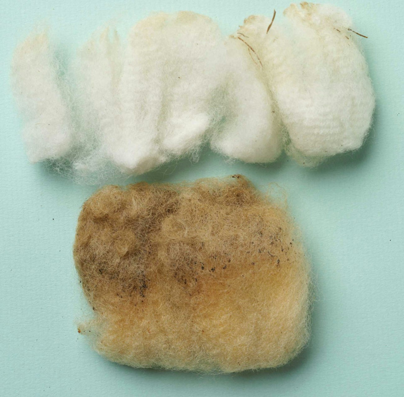 choosing-fiber-3