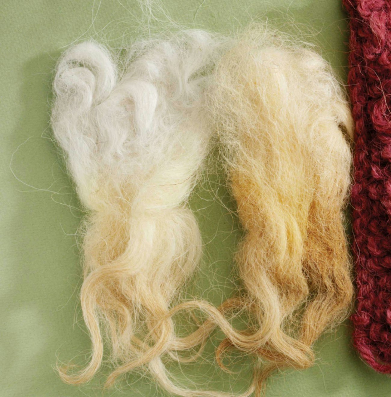choosing-fiber-4