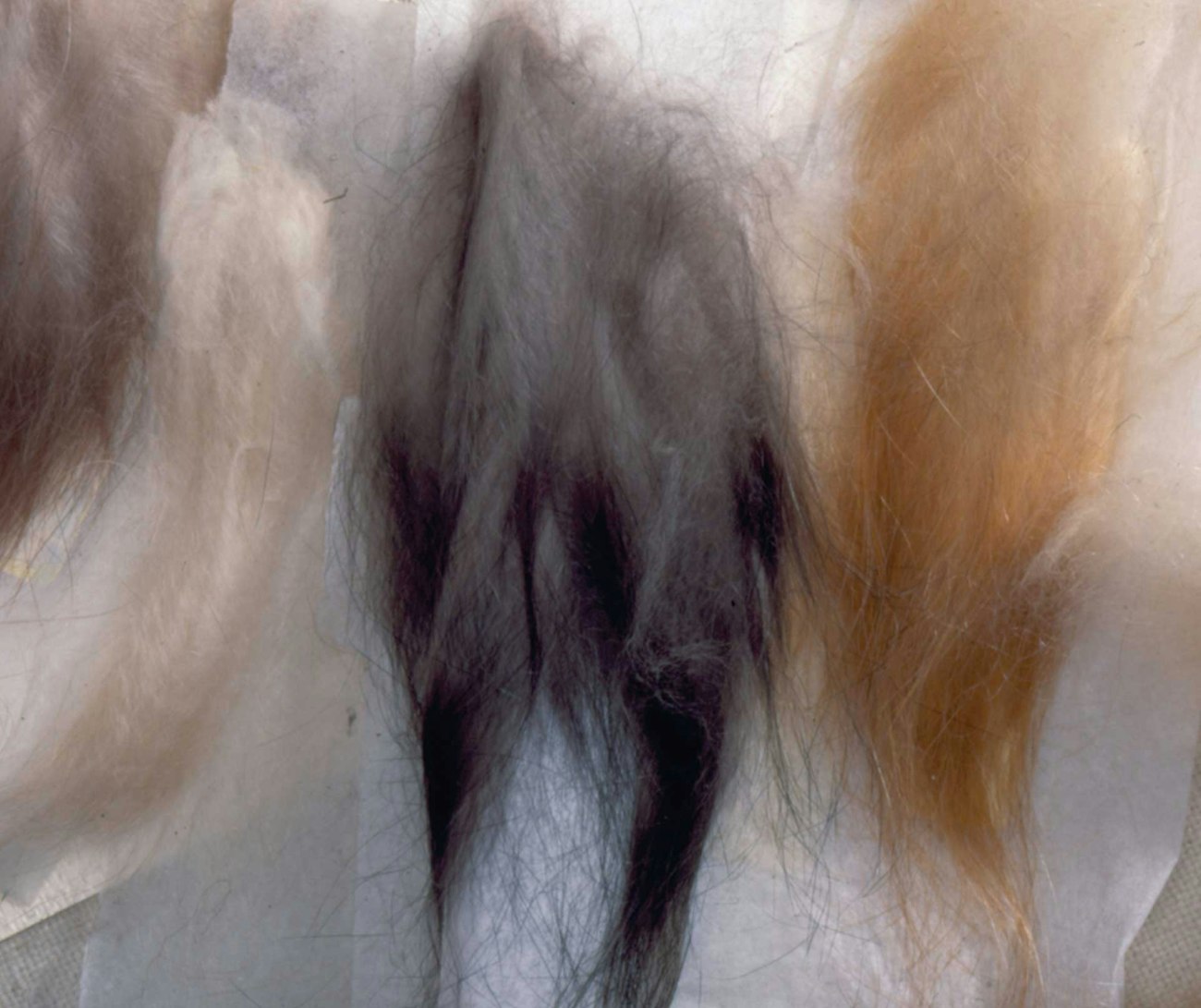 choosing-fiber-10