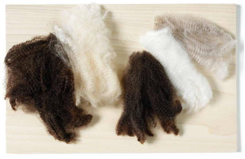 choosing-fiber-1