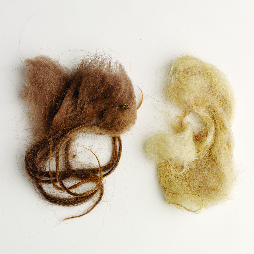 Fiber Basics: Bactrian Camel | Spin Off Fiber Basics: Bactrian Camel | Spin Off