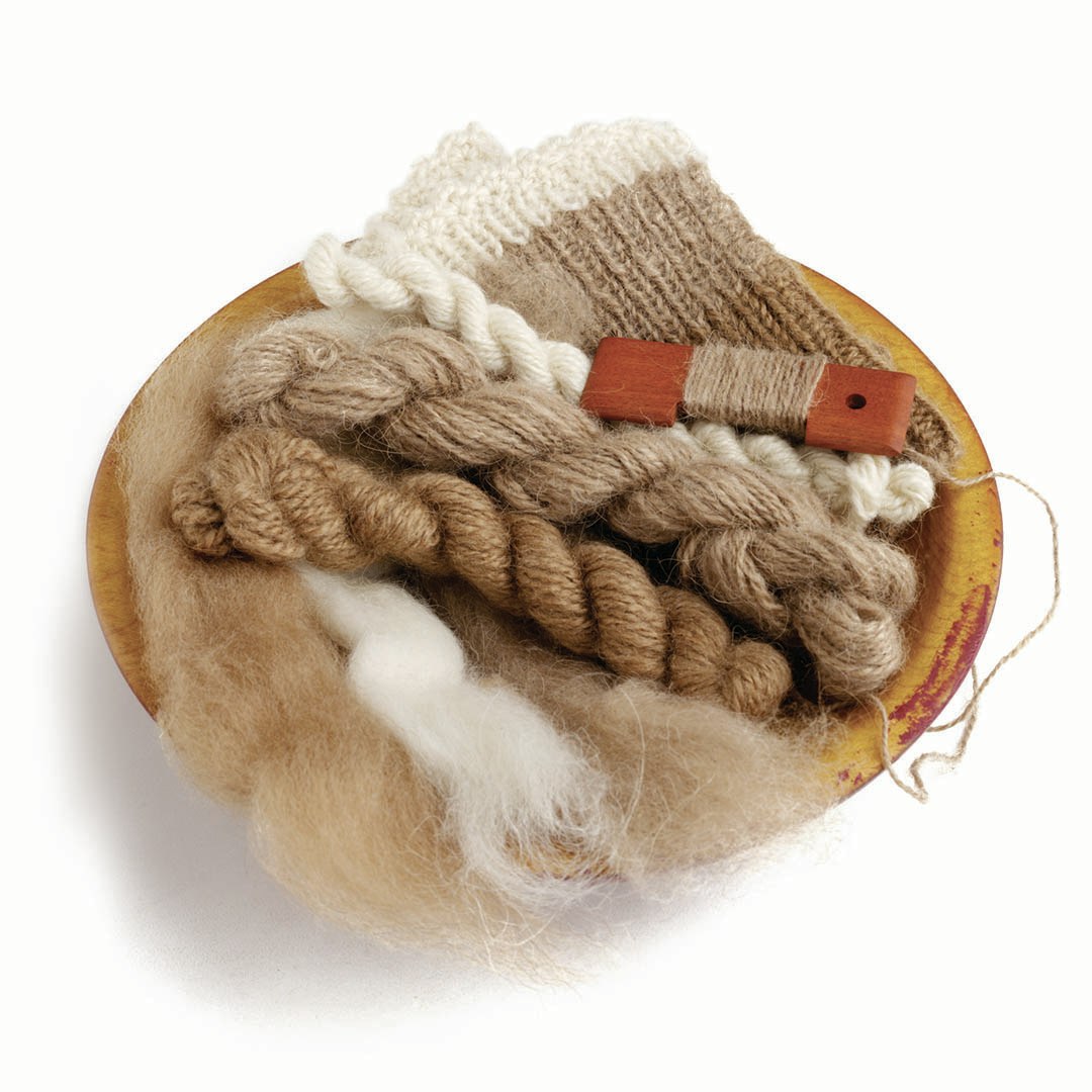 Fiber Basics: Bactrian Camel | Spin Off Fiber Basics: Bactrian Camel | Spin Off