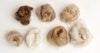 Fiber Basics: Bactrian Camel Image