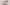 Spin Off Call for Submissions Winter 2022: Blends—Opposites Attract   Primary Image