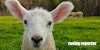 Spin Off Magazine’s League of Woolly Writers—Will You Join Us? Image