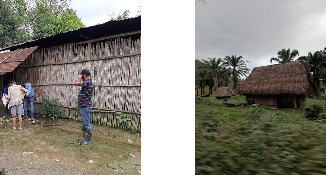 Walls-of-Cane-Roof