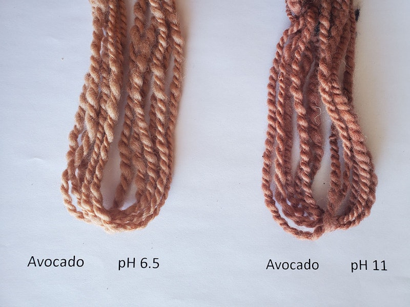 Avocado-Dyeing