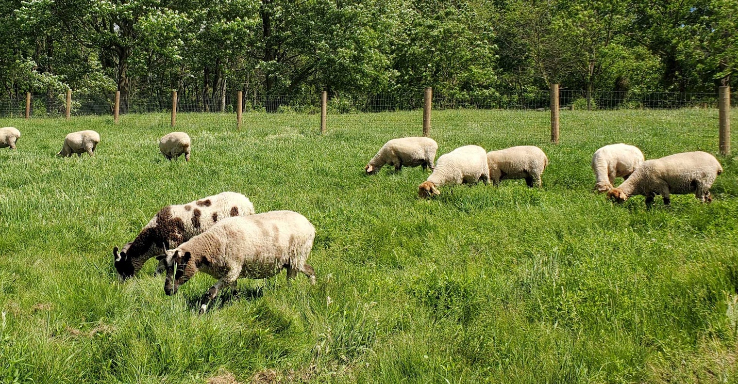 Red-Rope-Farm-1