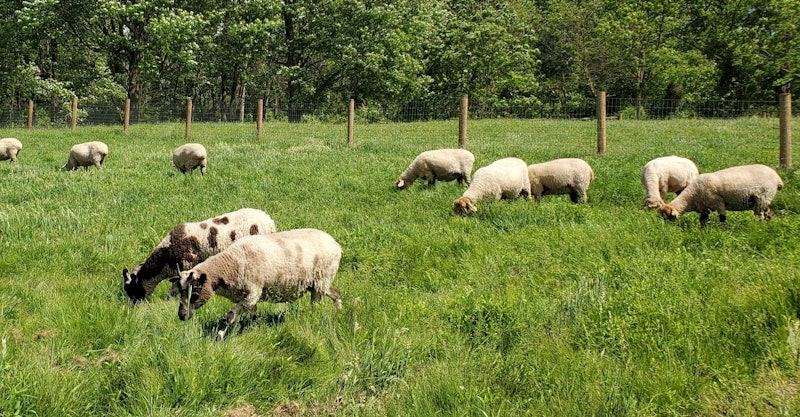 Red-Rope-Farm-1