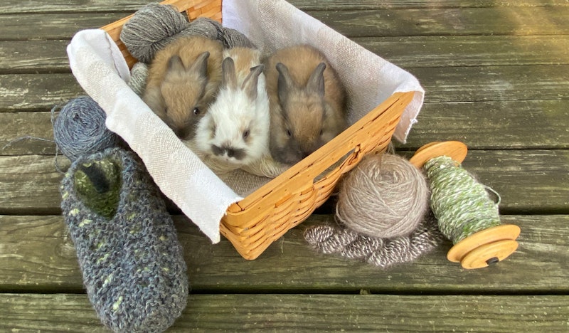 Angora-kits-yarn-slippers-header