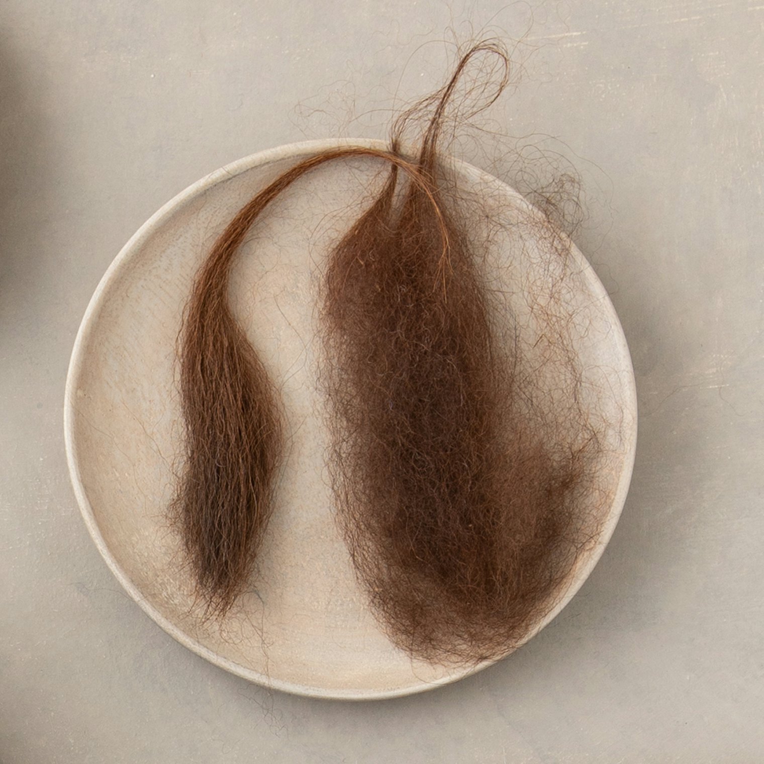 llama-fiber-7