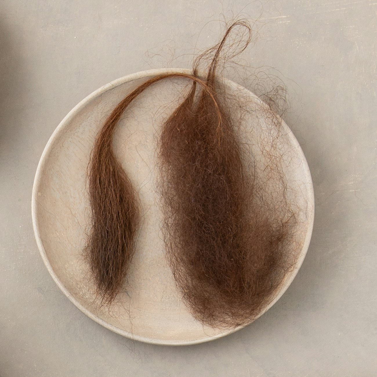 llama-fiber-7