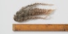 You’ve Got Wool Mail: Buying Sheep’s Fleece Online Image