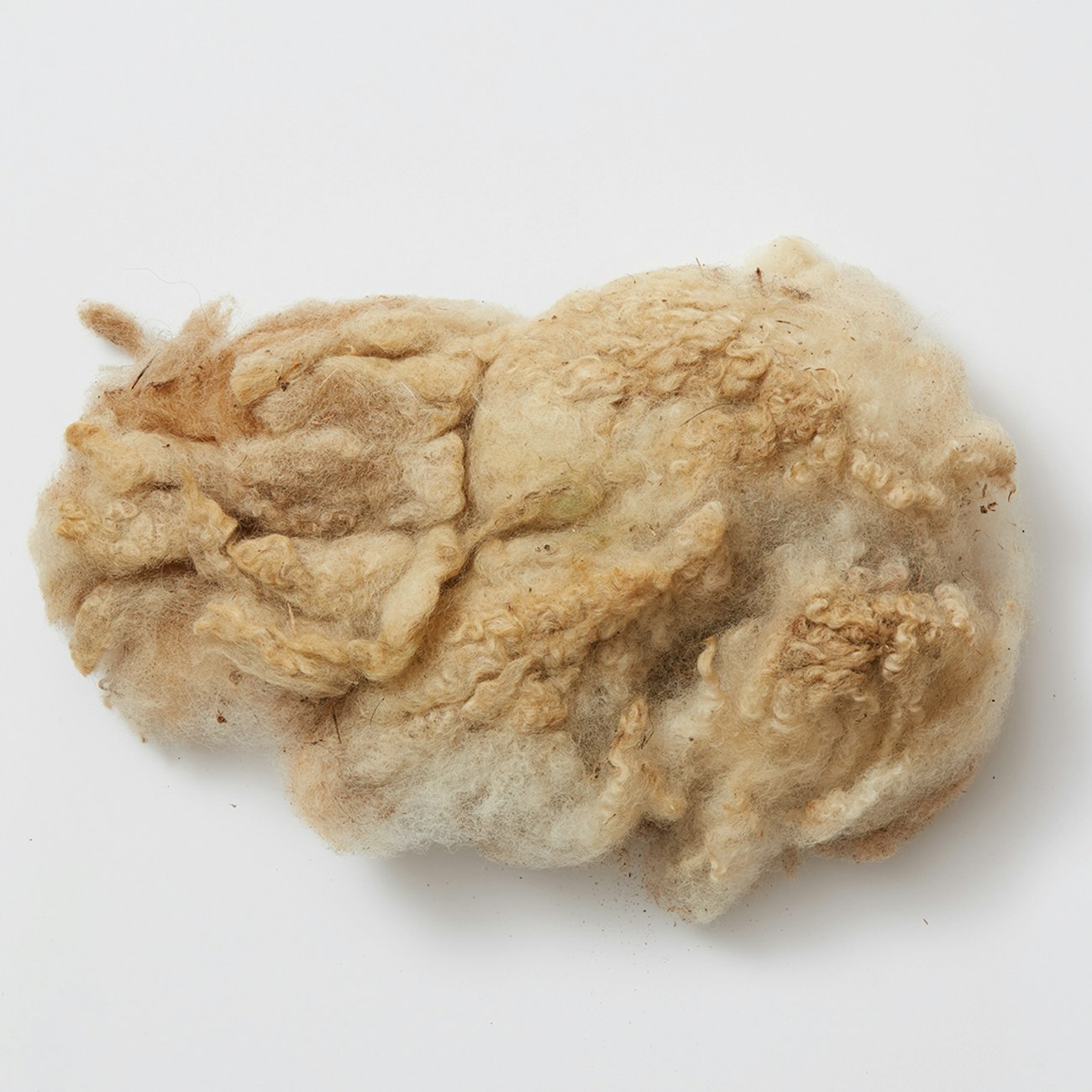 Cotted fleece