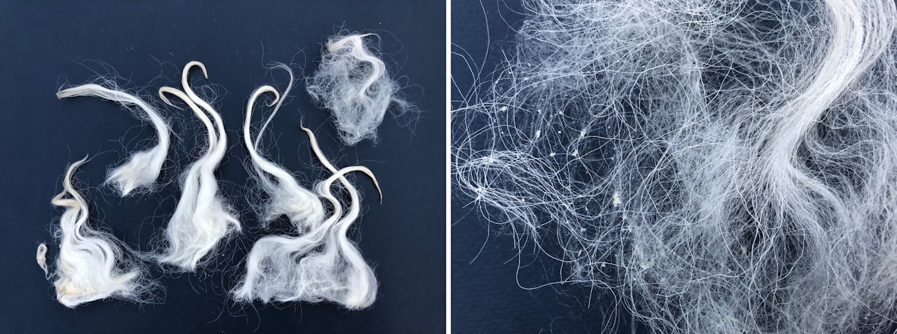 Wool Basics: What is Grease? | Spin Off