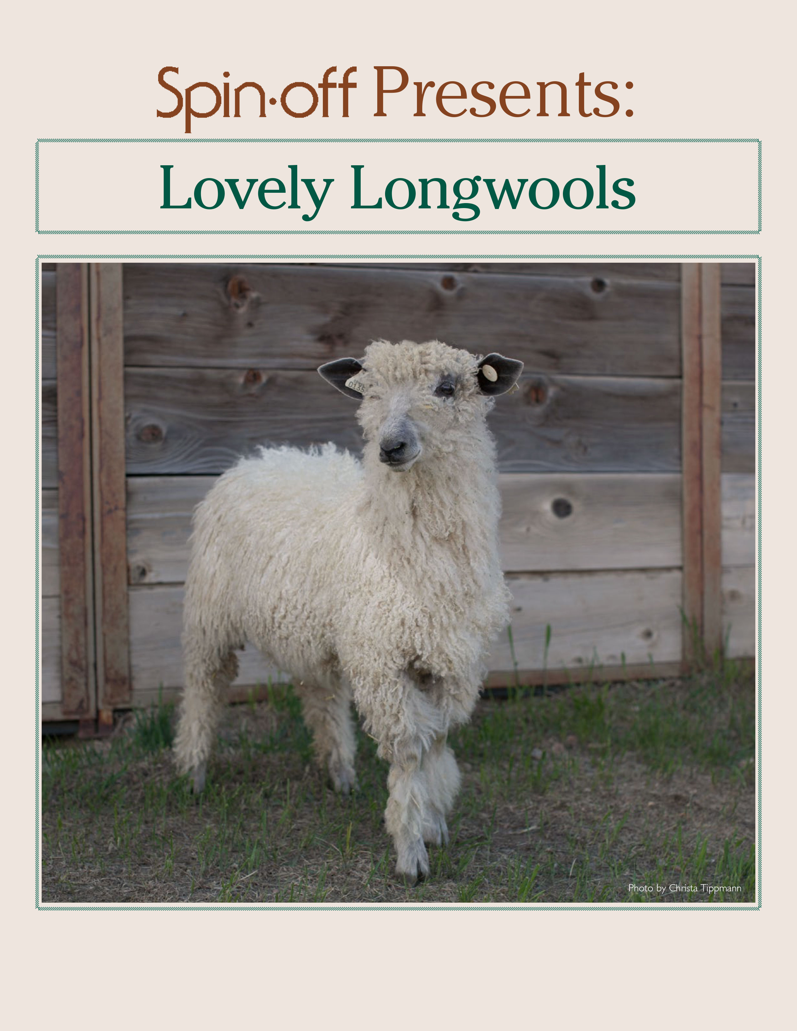 Lovely Longwools eBook Image