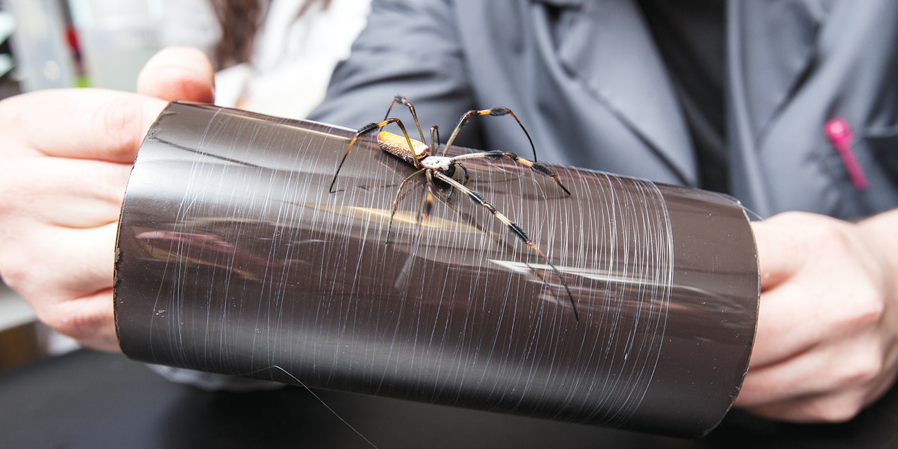 New Twists on Old Fibers: Spider Silk