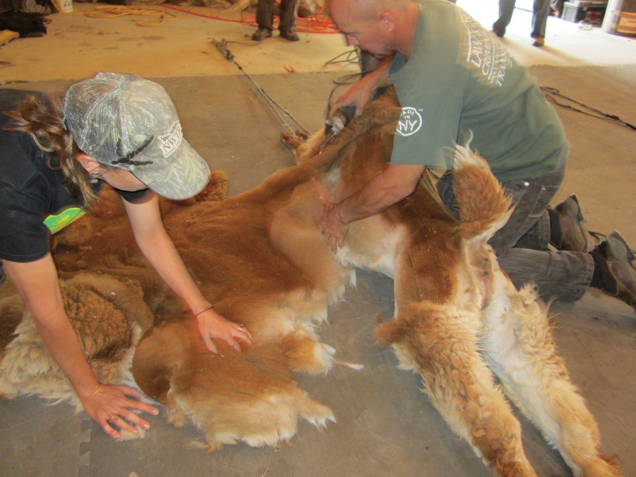 Jefferson Farms The Search for Wild Luxury Spin Off