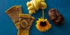 Helianthus Mitts Image