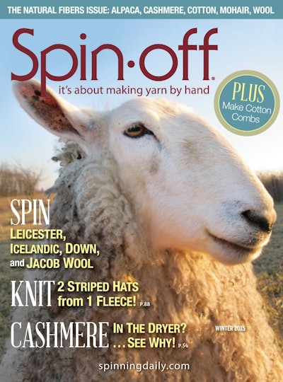 Cover of Spin Off Winter 2015