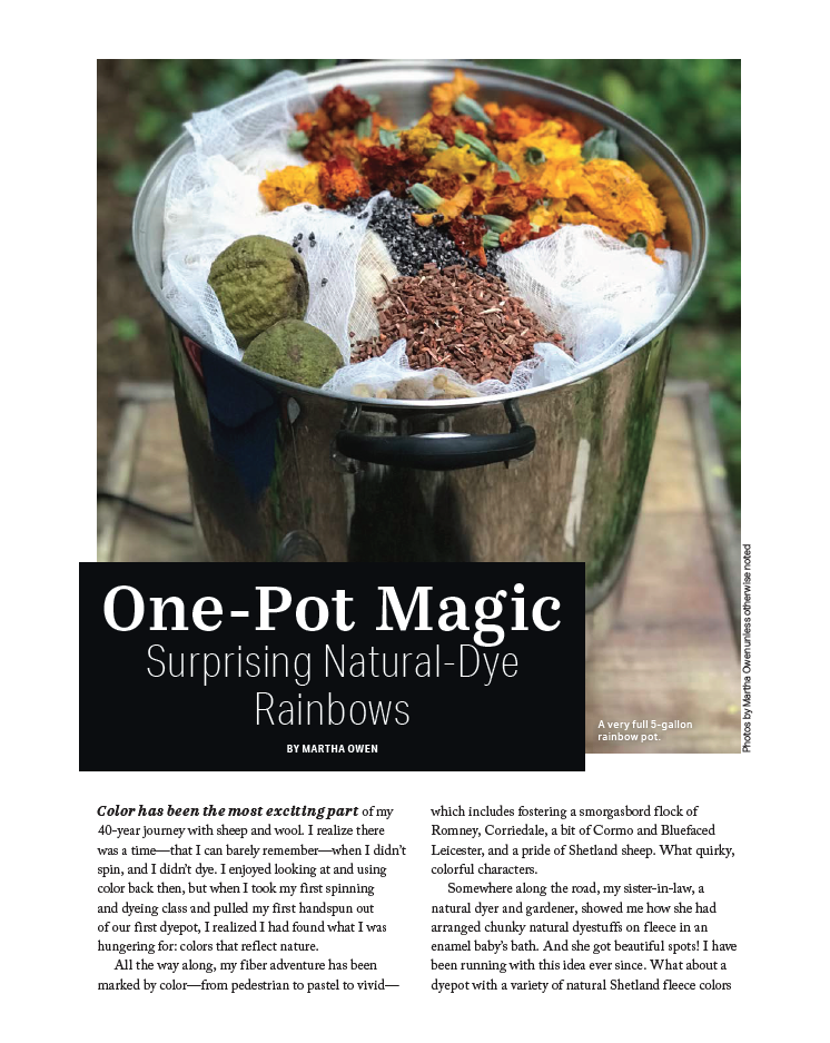 One-Pot Magic: Surprising Natural-Dye Rainbows Image