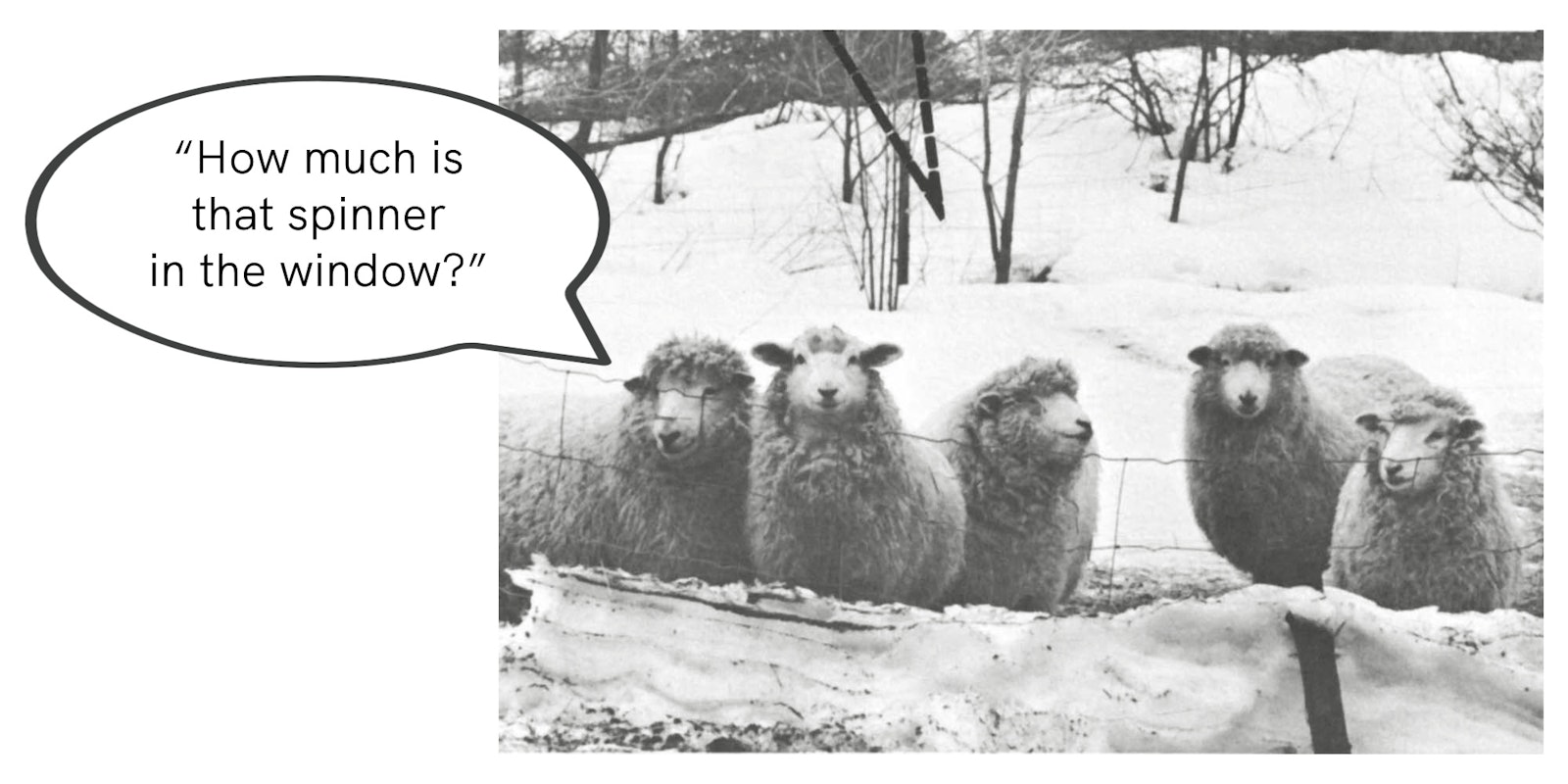 The Shop Window Spinner Spin Off