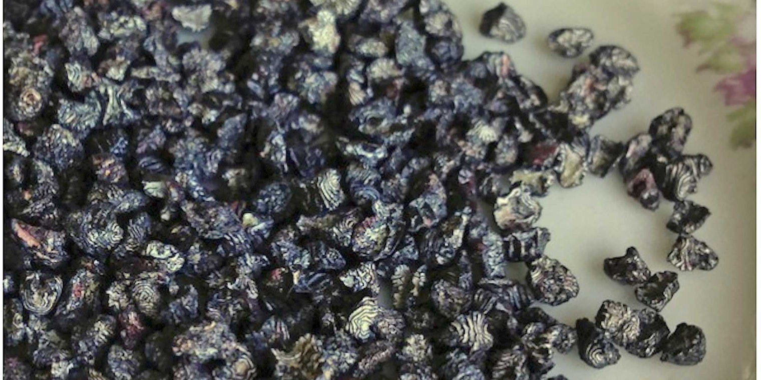 Cochineal dye has been around for centuries. Photo by Kate Larson